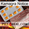 Kamagra Notice new13